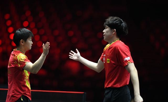 比利时乒乓球队鏖战波兰乒乓球队，许昕制霸全场的简单介绍