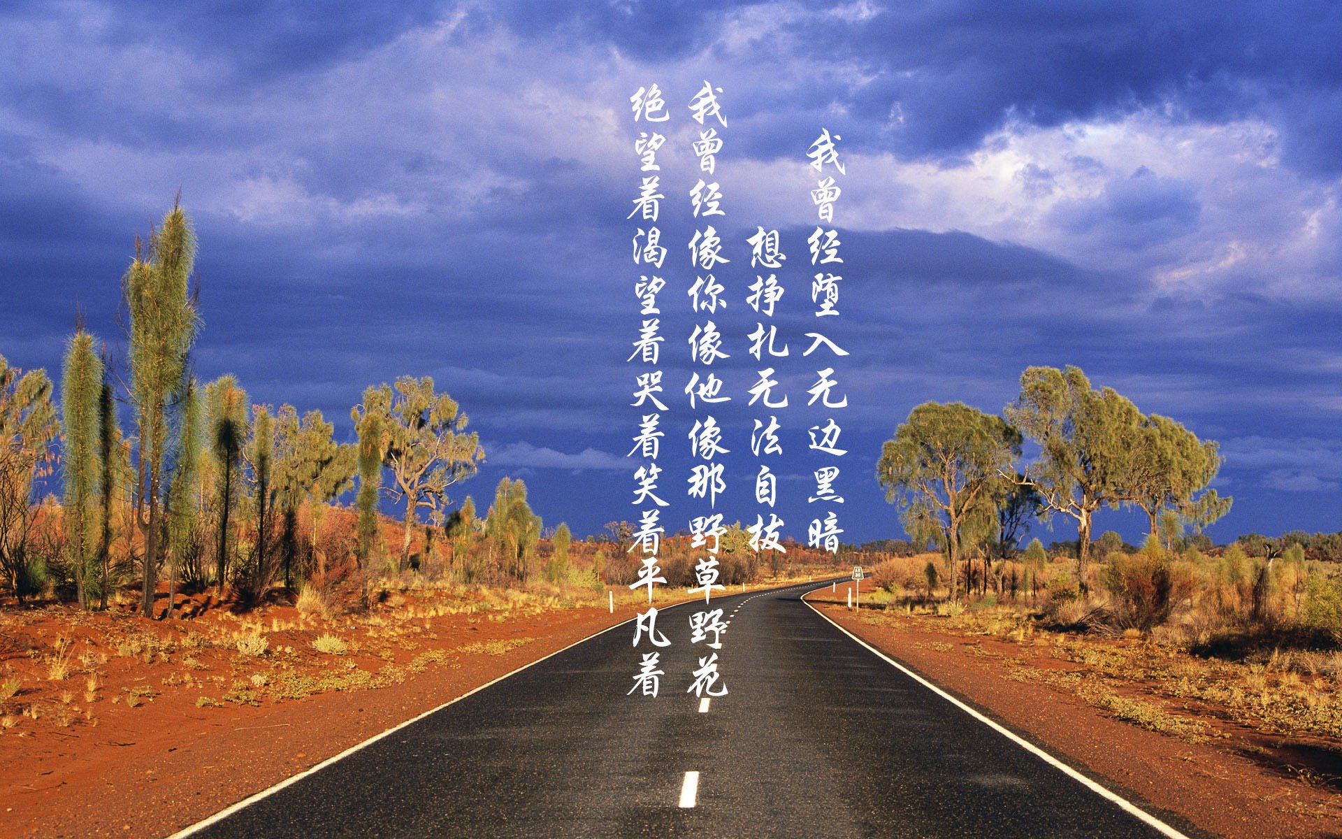 PG电子官网入口-摩纳哥制霸威尔士，佩德里压制级发挥定义新时代中场统治力